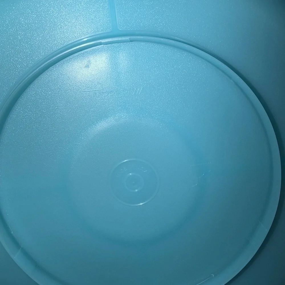 Blue Tupperware Plastic Divided Snack Tray veggie tray relish tray holiday party